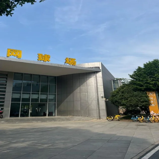 北京男篮伤病频发影响赛季表现引热议
